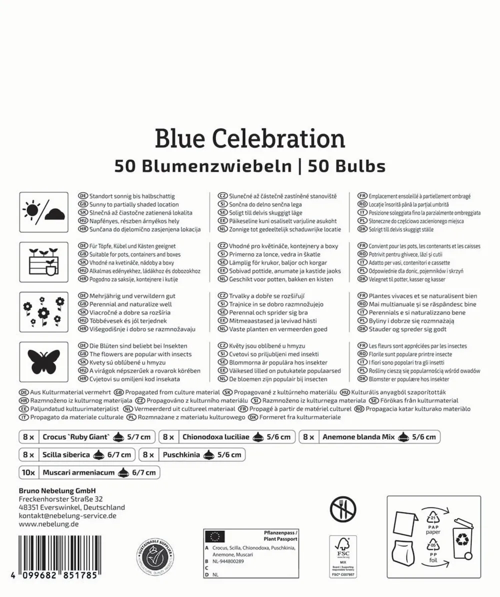 Mega Pack Blue Celebration