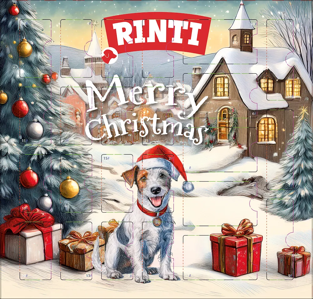 Rinti Chicko Adventskalender