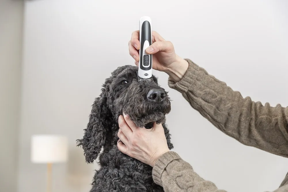 Schermaschinen-Set Akku