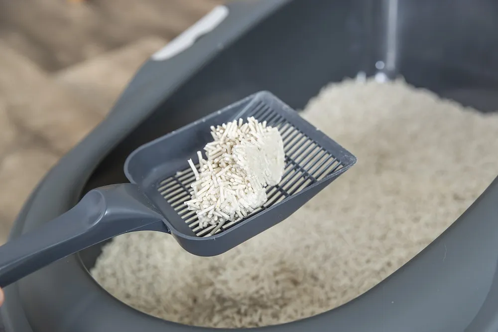 Tofu-Katzenstreu, klumpend