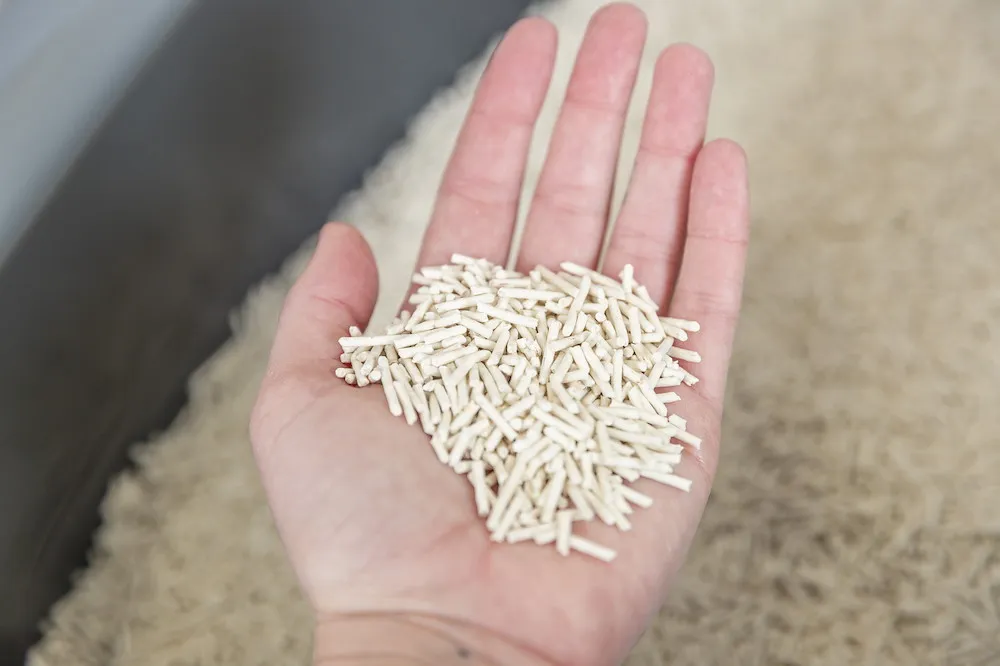 Tofu-Katzenstreu, klumpend