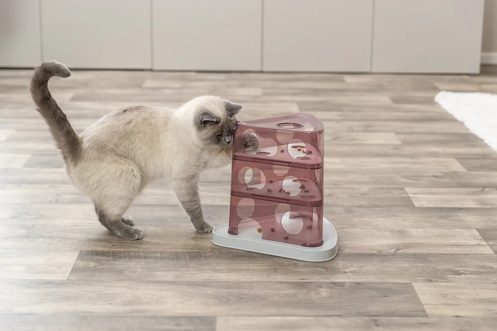 Cat Activity Cheese Tower,