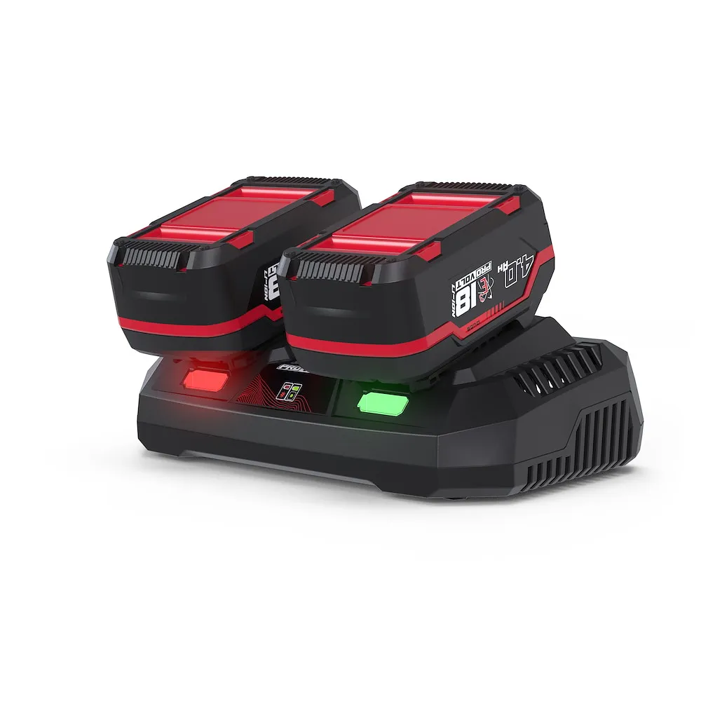 Ladeger&auml;t & Akkupack