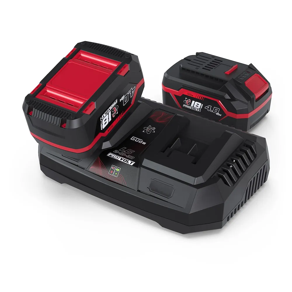 Ladeger&auml;t & Akkupack