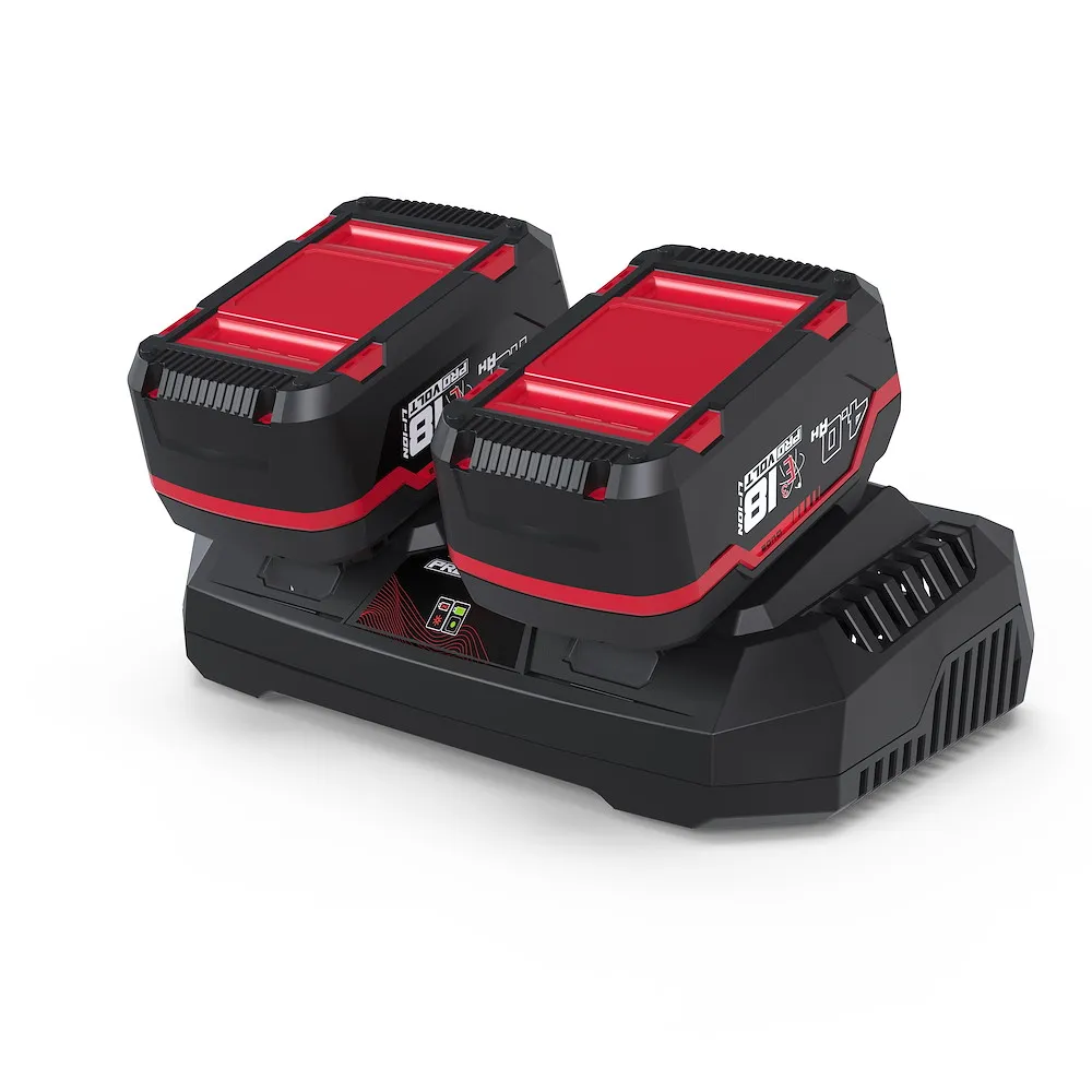 Ladeger&auml;t & Akkupack