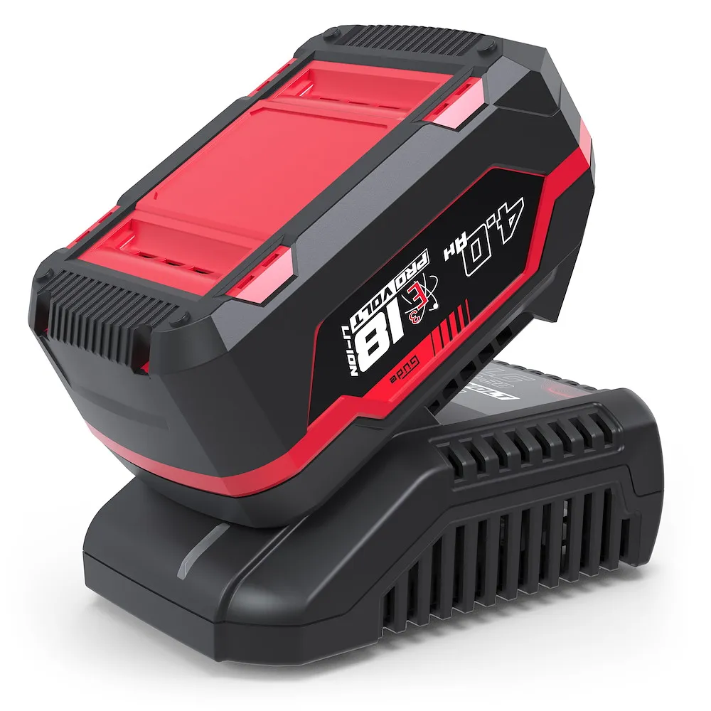 Ladeger&auml;t & Akkupack