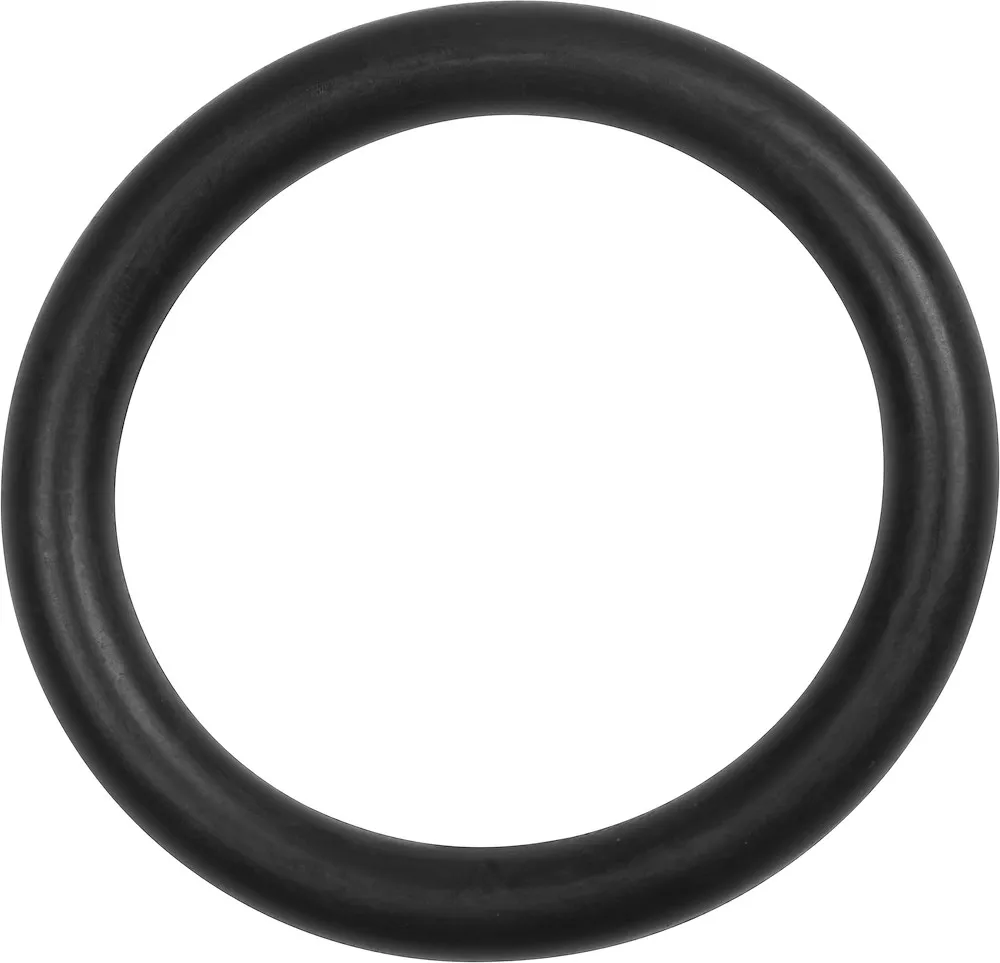 O-Ring Dichtung