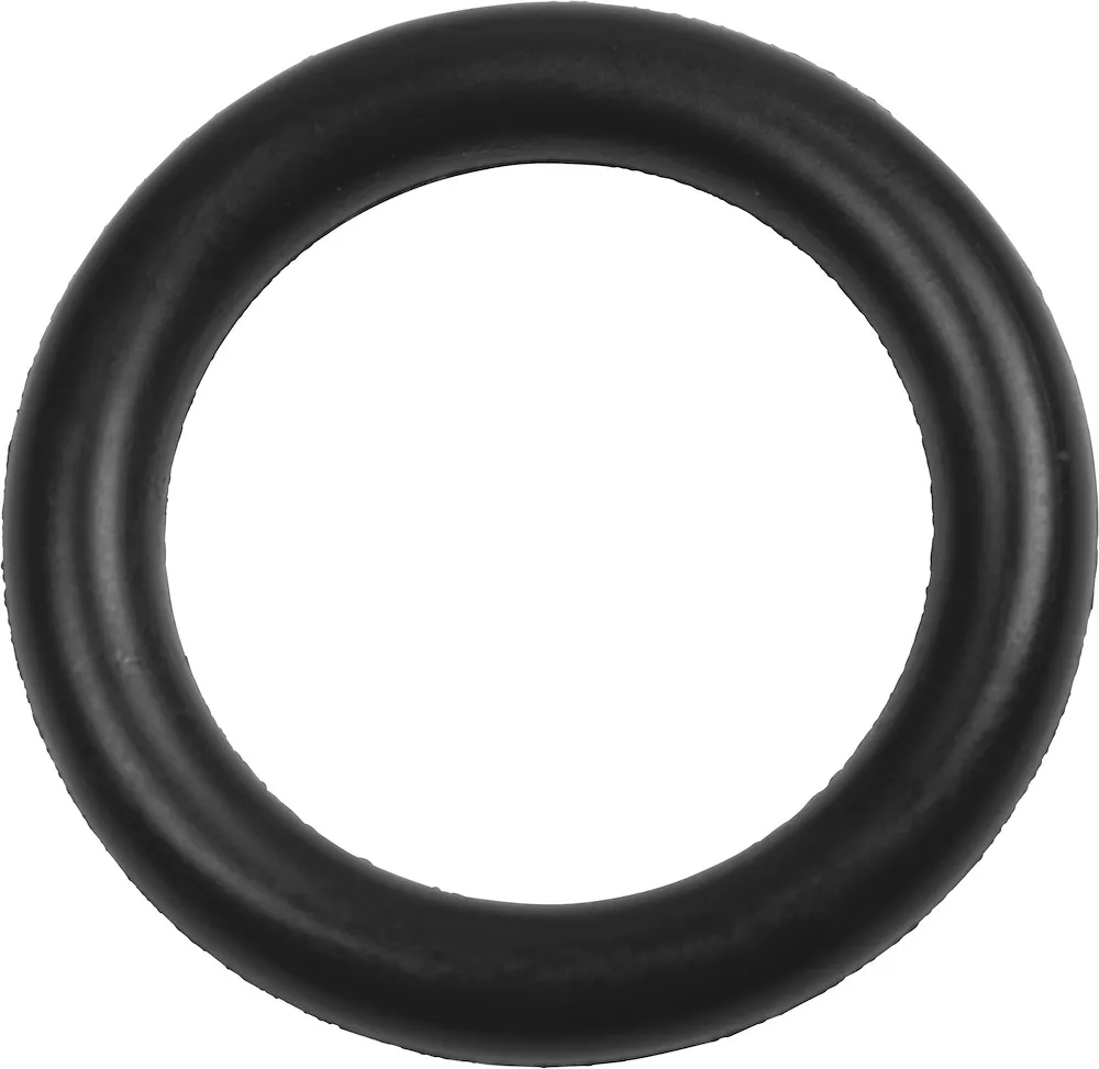 O-Ring Dichtung
